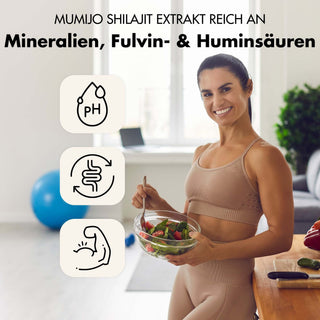 Shilajit Kapseln - 200x Mumijo Kapseln - Mit >80% Fulvinsäure