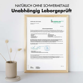 Shilajit Kapseln - 200x Mumijo Kapseln - Mit >80% Fulvinsäure
