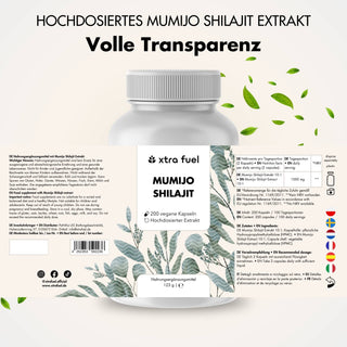 Shilajit Kapseln - 200x Mumijo Kapseln - Mit >80% Fulvinsäure