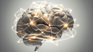 Andrew Huberman: Neurowissenschaftler & Biohacking-Experte