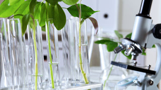 David Sinclair: Harvard-Genetiker und Anti-Aging-Pionier