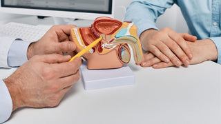 Prostata‑Gesundheit – Natürliche Wege zur Unterstützung ab 40