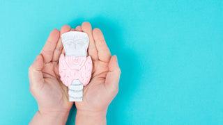 Schilddrüsenüberfunktion (Hyperthyreose) – Ursachen, Symptome und Ernährung