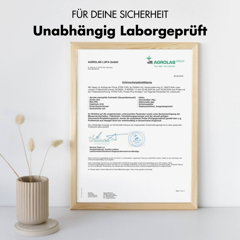 Prosta Plus Komplex - Männer Formel - Mit Kürbiskern, Sägepalme, Zink & Selen