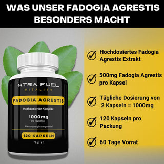 Fadogia Agrestis | 120 Kapseln pro Dose | 1000mg