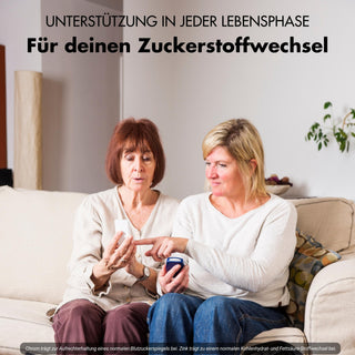 Blutzucker Komplex* - Nährstoffmix mit Ceylon-Zimt, Inositol & Olivenblatt