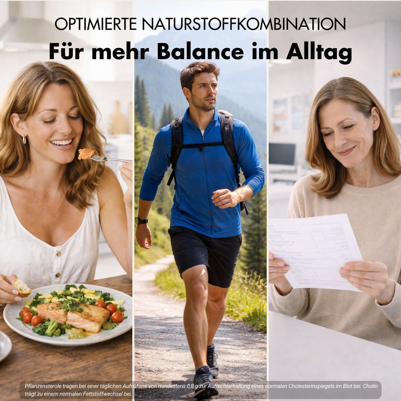 Cholesterin Komplex* - Nährstoffkomplex mit Pflanzensterolen, Bergamotte, Artischocke & Monacolin K