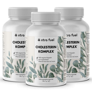 Cholesterin Komplex* - Nährstoffkomplex mit Pflanzensterolen & Rotschimmelreis (Monacolin K)