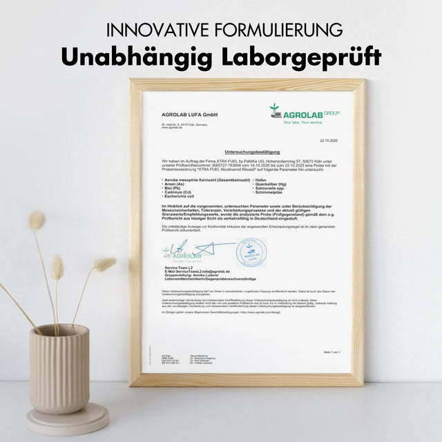 Nicotinamid Ribosid - Longevity NAD+ Vorstufe mit Niacin für Energie & Vitalität*