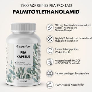 PEA Kapseln - Mikronisiertes Palmitoylethanolamid - 1200mg pro Tag