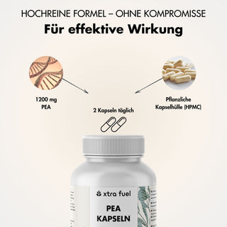 PEA Kapseln - Mikronisiertes Palmitoylethanolamid - 1200mg pro Tag