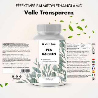 PEA Kapseln - Mikronisiertes Palmitoylethanolamid - 1200mg pro Tag
