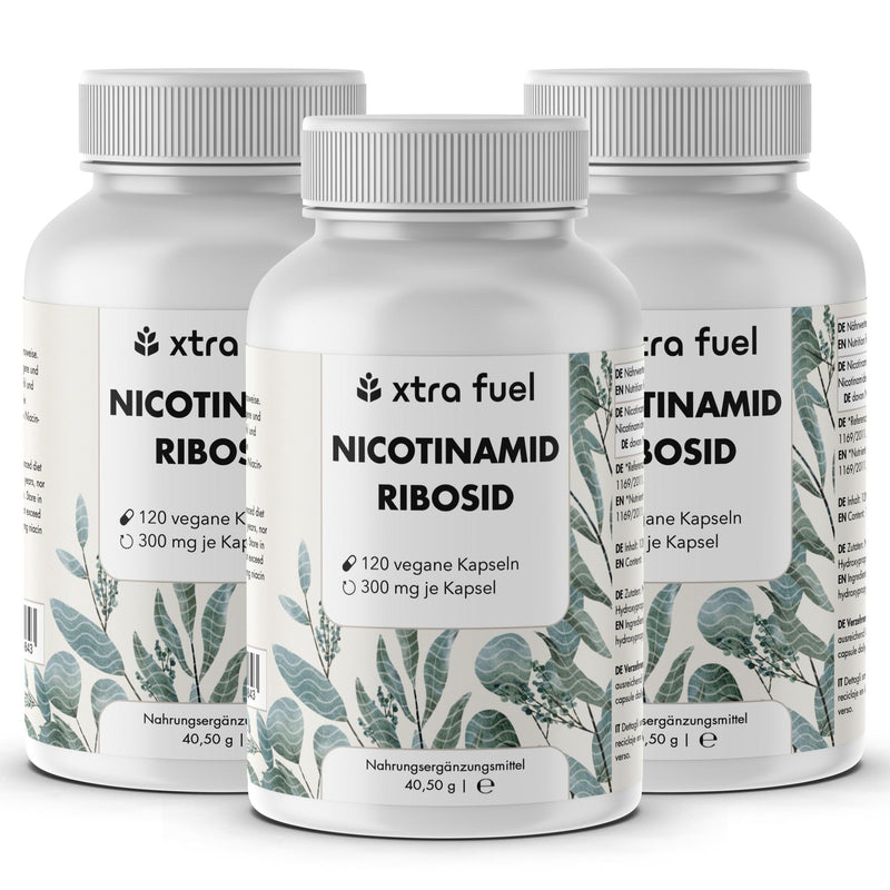 Nicotinamid Ribosid - Longevity NAD+ Vorstufe mit Niacin für Energie & Vitalität*