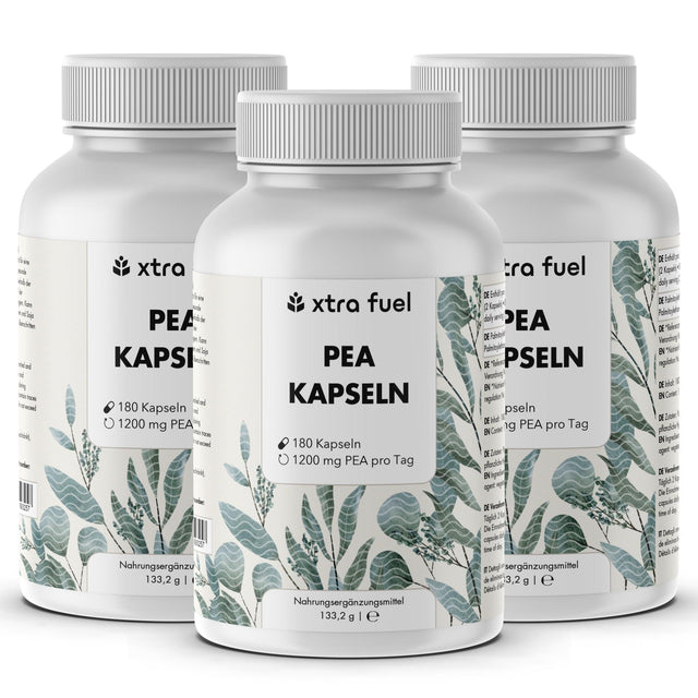 PEA Kapseln - Mikronisiertes Palmitoylethanolamid - 1200mg pro Tag