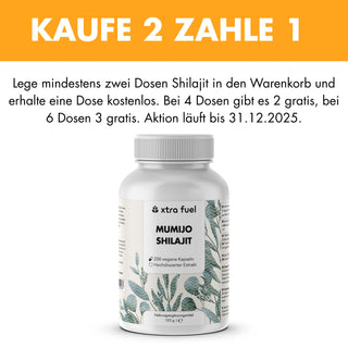 Shilajit Kapseln - 200x Mumijo Kapseln - Mit >80% Fulvinsäure
